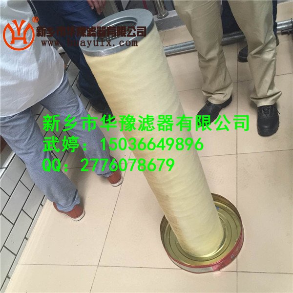 油霧分離器濾芯DM3817-00-GWB