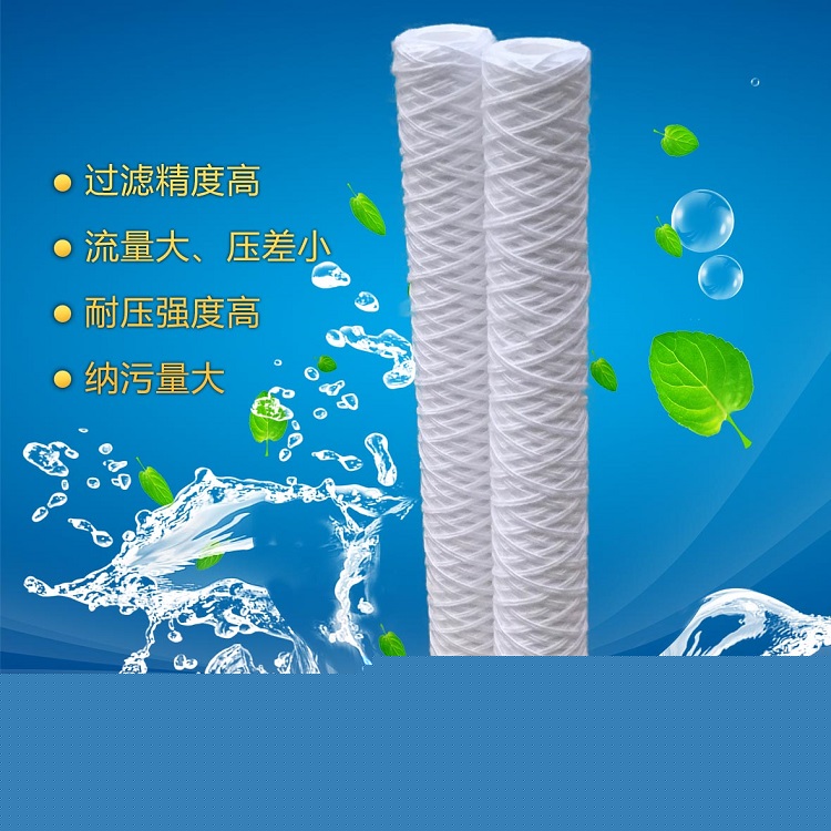 SS-C05S50線(xiàn)繞濾芯/