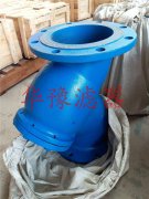 法蘭Y型過濾器，DN200，碳鋼材質(zhì)/