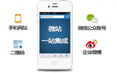 手機網(wǎng)站目前優(yōu)化有哪些技巧？/
